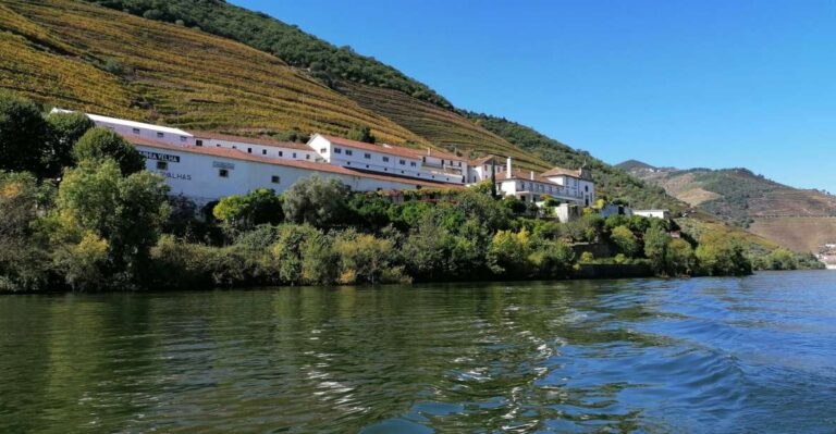 Porto: 2 Douro Valley Wineries Day Trip With River Cruise Tour Overview