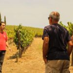 Porto: Douro Valley History & Wine Tour With Cruise & Lunch Tour Overview