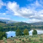 Porto: Douro Valley Wine Tour With Tastings, Boat, And Lunch Tour Duration And Highlights