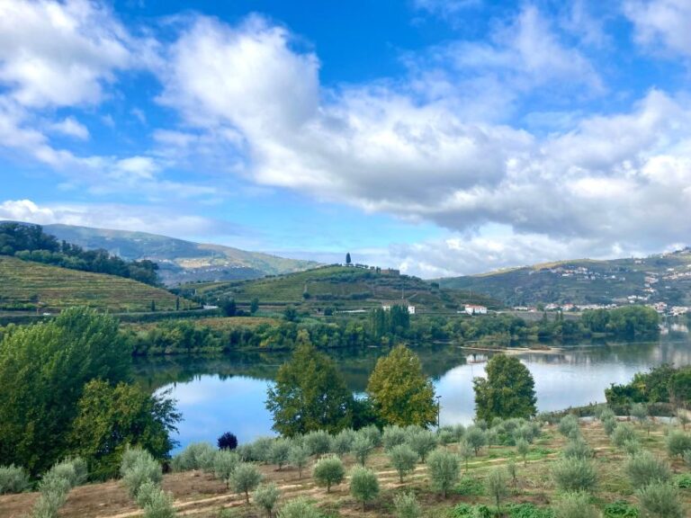 Porto: Douro Valley Wine Tour With Tastings, Boat, And Lunch Tour Duration And Highlights