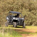 Porto Santo: 180 Minutes Off Road Buggy Tour Tour Overview