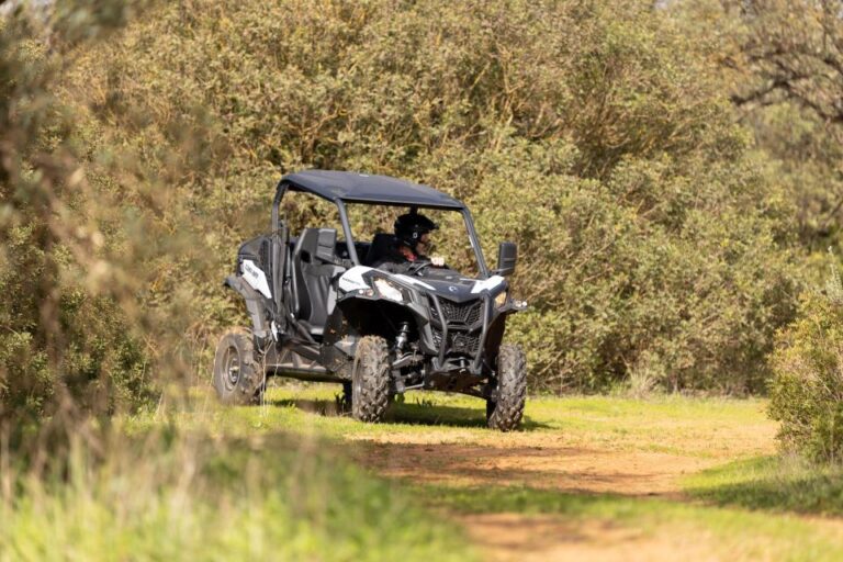 Porto Santo: 180 Minutes Off Road Buggy Tour Tour Overview