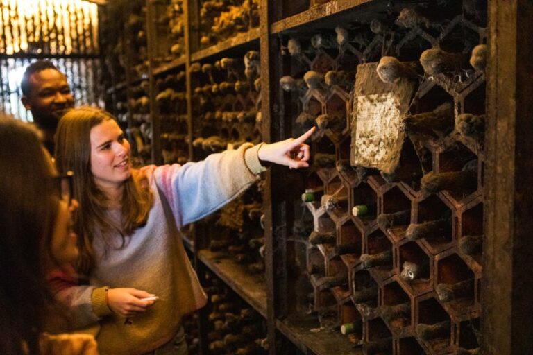 Porto Wine & Dine: Port Wine Cave And Food Tour Overview Of The Tour