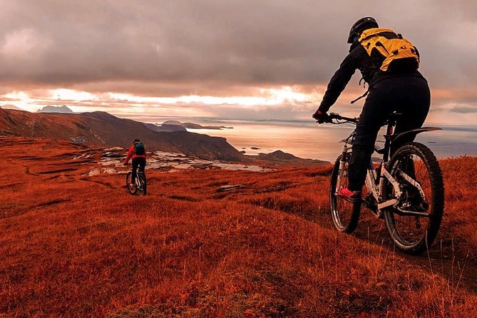 Premium Ebike Rental - Effortless Pedaling in Bodø