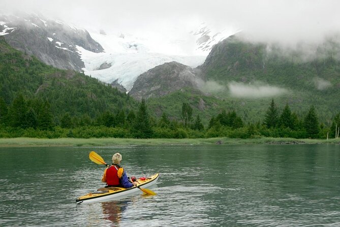 Prince William Sound Glacier Tour - Whittier - Tour Overview