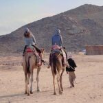 Private! 3 Hour Or 5 Hour Quad Safari Tour To Sahara Desert Experience Highlights