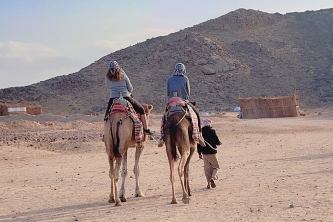 PRIVATE! 3-Hour or 5-Hour Quad Safari Tour to Sahara Desert - Experience Highlights