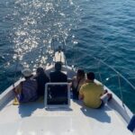 Private 38 Defender Sportfishing/swim With Pigs In Nassau Inclusions