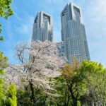 Private Car Tour With Meiji Shrine, Skytree, And Odaiba Tour Overview And Pricing