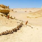 Private Day Tour To El Fayoum From Cairo Inclusions