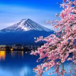 Private Day Trip To Mt. Fuji & Hakone Cherry Blossoms Trip Highlights And Pricing