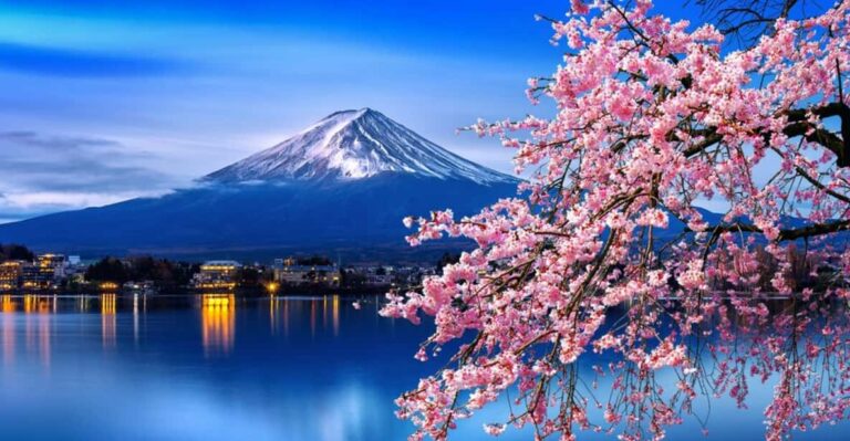 Private Day Trip To Mt. Fuji & Hakone Cherry Blossoms Trip Highlights And Pricing