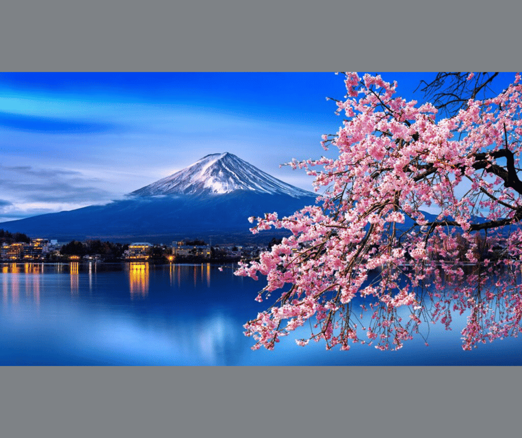 Private Day Trip to Mt. Fuji & Hakone Cherry Blossoms - Guided Tour Experience