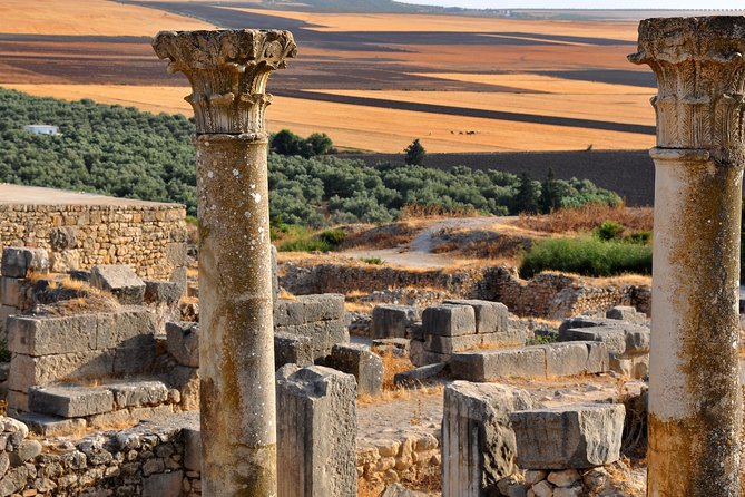 Private Day Trip to Volubilis Meknes and Moulay Driss From Fez - Exploring the Ancient Ruins of Volubilis