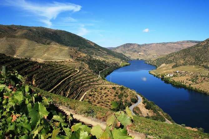 Private Douro Valley Visit To Three Vineyards With Lunch From Porto Tour Highlights