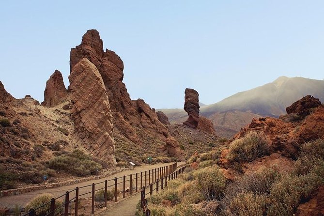 Private Excursions For Cruise Ship Passengers - Customizable Tour of Tenerife