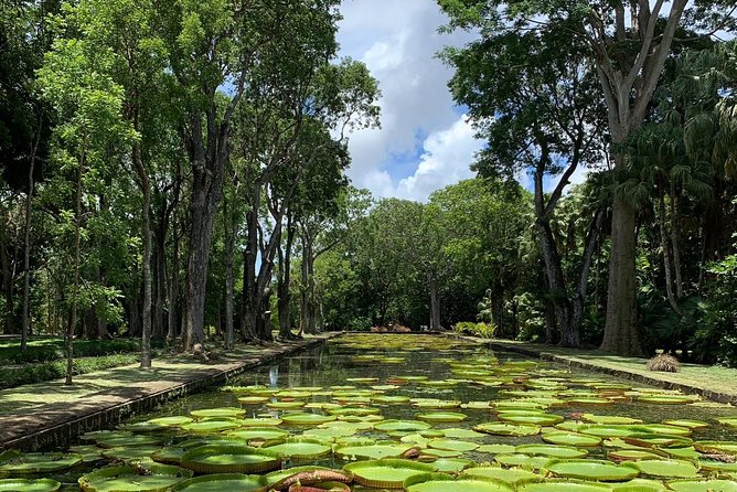 Private Guided Tour Of Northern Mauritius With Shopping In Port Louis Exploring Port Louis