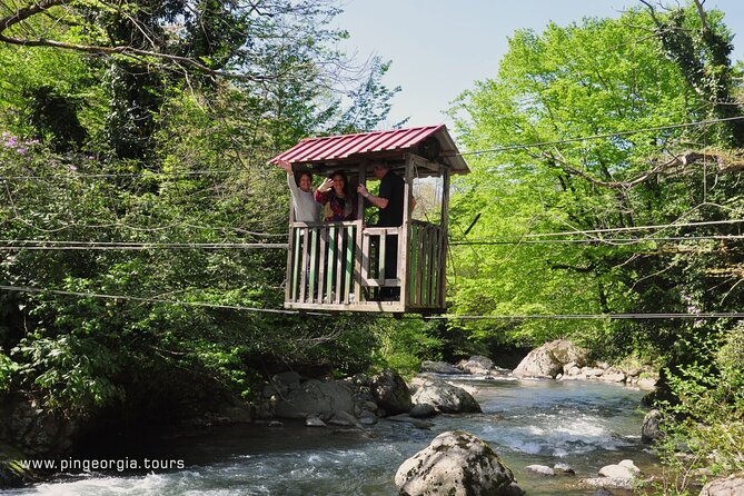 Private Hiking Tour To Mtirala National Park From Batumi Tour Overview