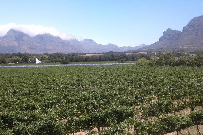 Private Stellenbosch, Franschhoek Paarl Wine Tour From Cape Town - Lunch in Franschhoek