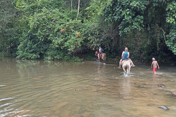 Private Tour in Miches With La Jarda Waterfall Experience - Tour Overview