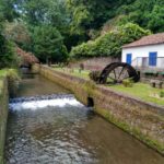 Private Tour Of Furnas Valley, Gorreana Tea Island Gems Tour Details