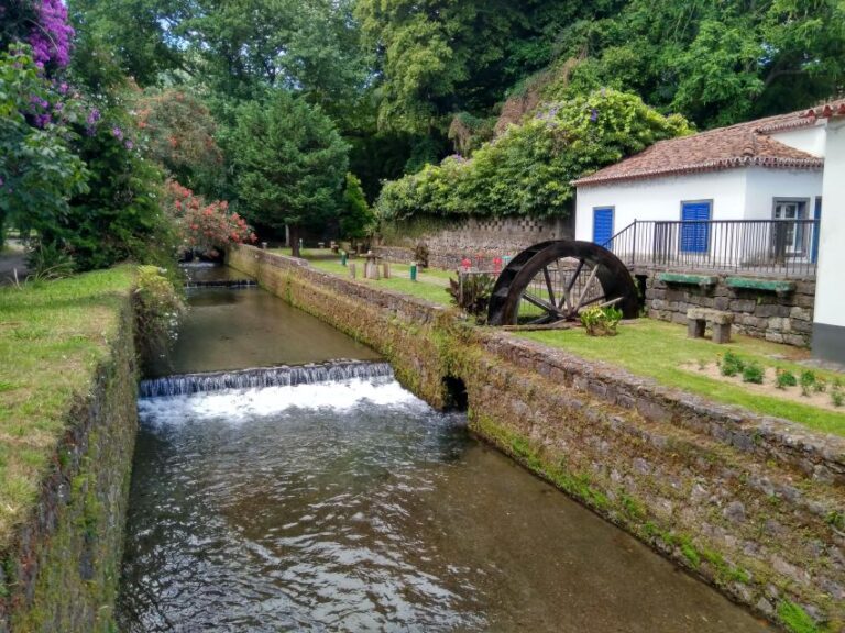 Private Tour Of Furnas Valley, Gorreana Tea Island Gems Tour Details