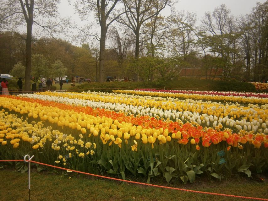 Private Tour to the Flowers From Amsterdam by Bus - Booking Information