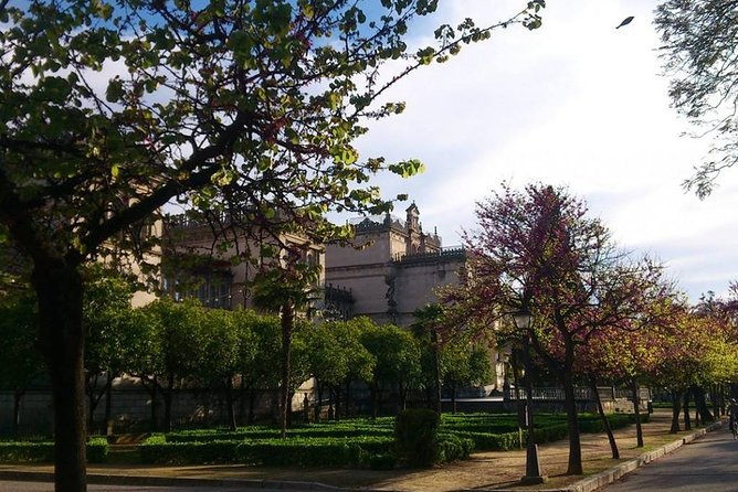 Private Walking Tour in Seville City Center - Must-See Landmarks and Highlights