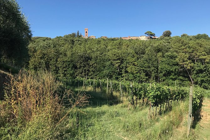 Private Wine Tour - Lucca Hills and Montecarlo (2 Wineries) - Tour Overview