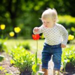 Professional Outdoor Baby Photoshoot In Amsterdam Overview Of The Photoshoot