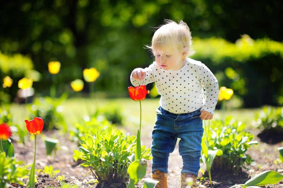 Professional Outdoor Baby Photoshoot in Amsterdam - Overview of the Photoshoot