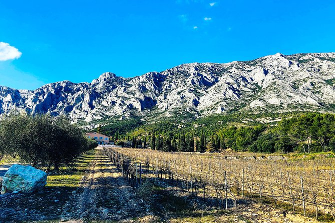 Provence - Mont Sainte Victoire in Search of Cézanne Private Wine Tour - Inclusions