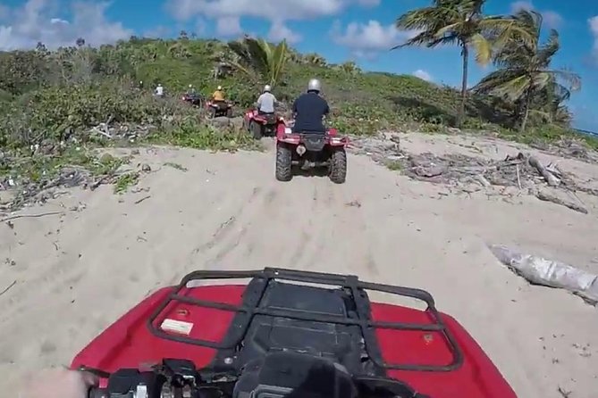 Puerto Plata Shore Excursion: ATV Adventure for Amber Cove & Taino Bay Passenger - Tour Overview