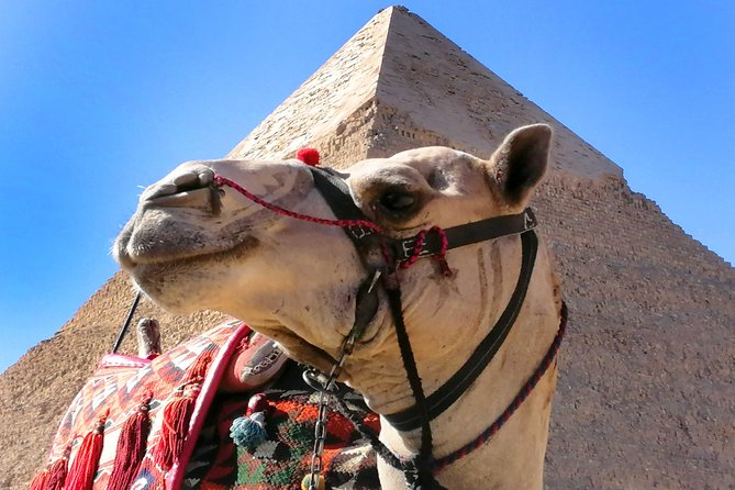 Pyramids of Giza & Saqqara Complex - Itinerary