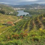 Quinta Da Pacheca: Walking With A Full Lunch And Wine Tasting Douro Valley Unesco World Heritage