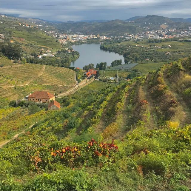 Quinta Da Pacheca: Walking With A Full Lunch And Wine Tasting Douro Valley Unesco World Heritage