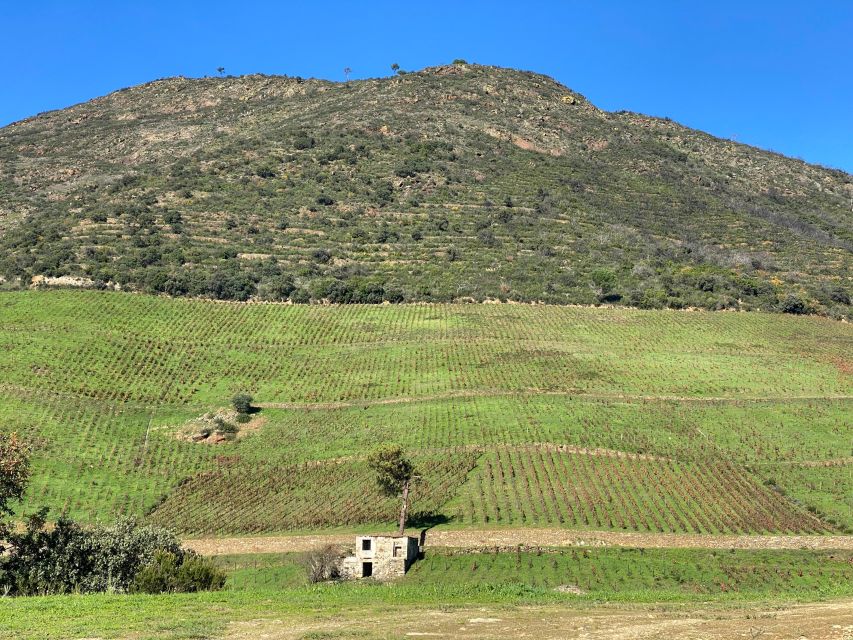 Quinta Dos Murças: Train, Walking, Lunch and Wine Tasting - Tour Highlights