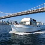 Relaxed Tokyo Bay Cruise Enjoy Your Own Food & Drinks At Sea Cruise Overview And Pricing