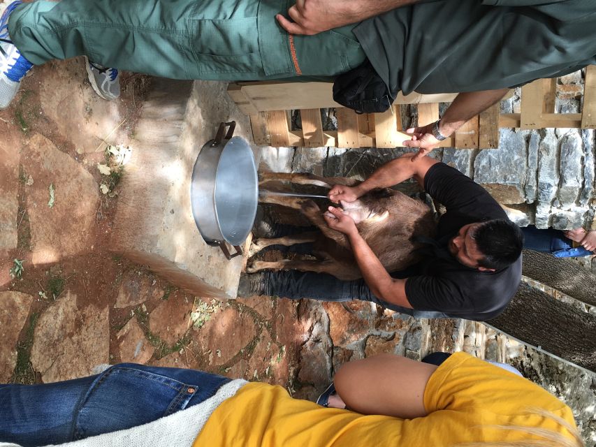 Rethymno: Explore Shepherd's Hut and Cheese Making Process - Tour Overview and Pricing