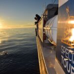 Reykjavik: Sea Fishing Boat Tour & Bbq With The Days Catch Embark On The Sea Fishing Adventure