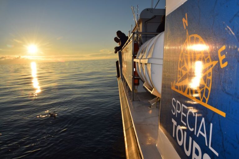 Reykjavik: Sea Fishing Boat Tour & Bbq With The Days Catch Embark On The Sea Fishing Adventure