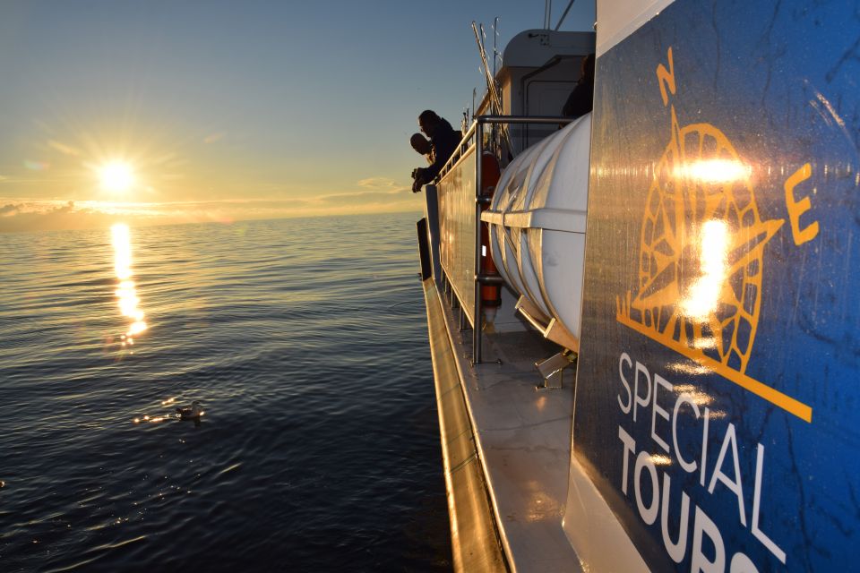 Reykjavik: Sea Fishing Boat Tour & BBQ With the Days Catch - Embark on the Sea Fishing Adventure