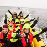 Reykjavik: Whale Watching By Rib Speedboat Activity Description