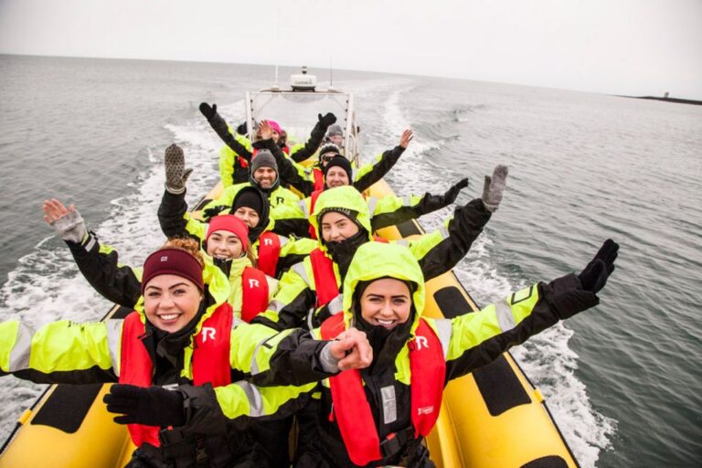 Reykjavik: Whale Watching By Rib Speedboat Activity Description