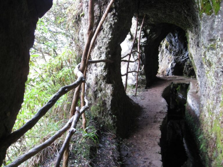 Ribeiro Frio / Portela Levada Walk Overview Of The Activity