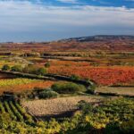 Rioja Alavesa Wineries And Medieval Villages Day Trip Tour Overview