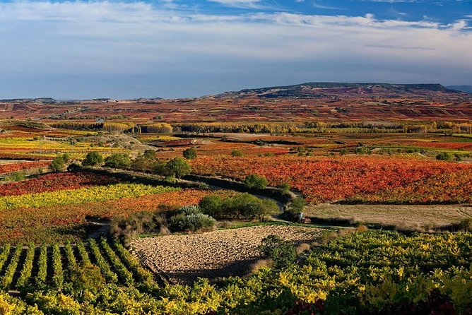 Rioja Alavesa Wineries and Medieval Villages Day Trip - Tour Overview