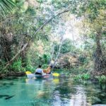 Rock Springs 2 Hour Glass Bottom Guided Kayak Eco Tour Tour Overview