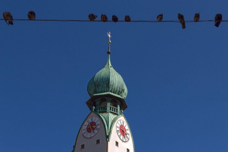 Rosenheim: Private Guided Walking Tour Overview Of The Tour