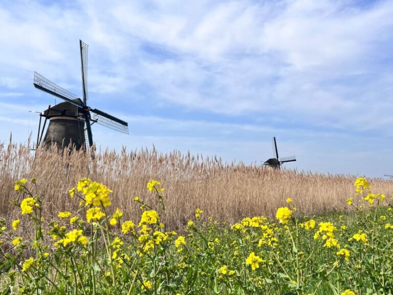 Rotterdam: Waterbus Ticket To Dordrecht And/or Kinderdijk Ticket Pricing And Cancellation